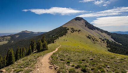  Wheeler Peak Trail